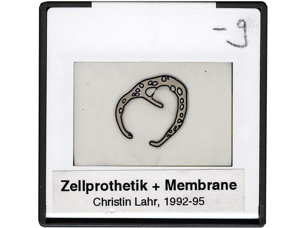 Naturkundemuseum Berlin