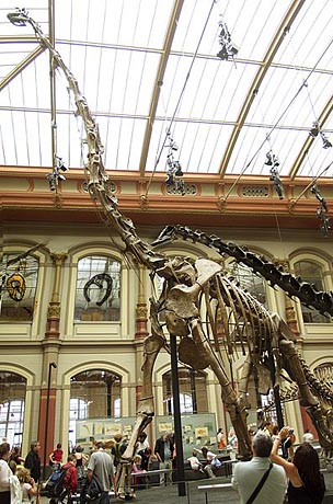 Naturkundemuseum Berlin